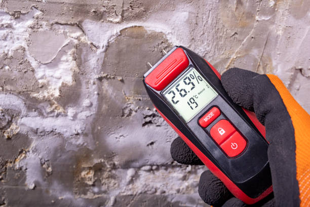 Best Mold Testing  in Llano, TX