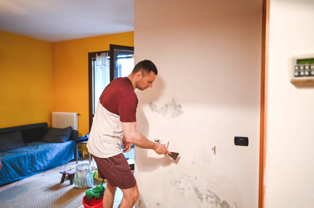 Best Commercial Mold Removal  in Llano, TX